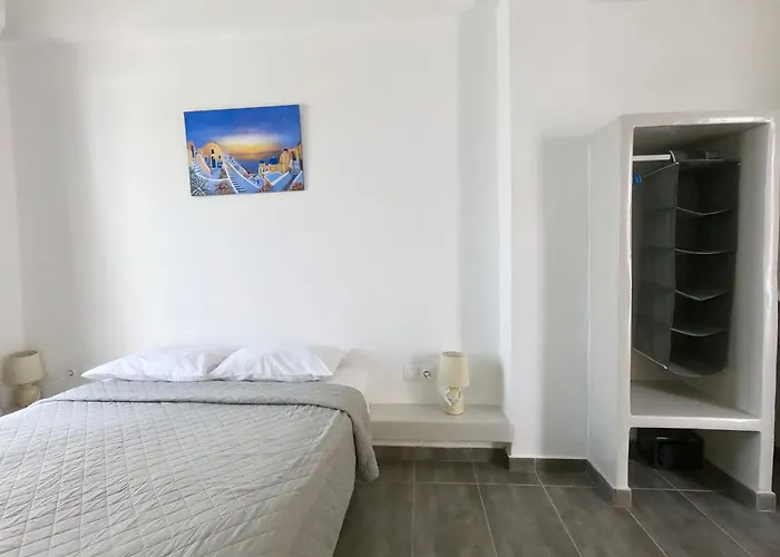 Anny Studios & Rooms Perissa Beach che accetta animali