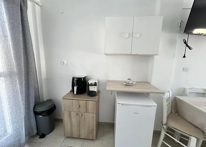 Studio Letta Perissa  admite animales